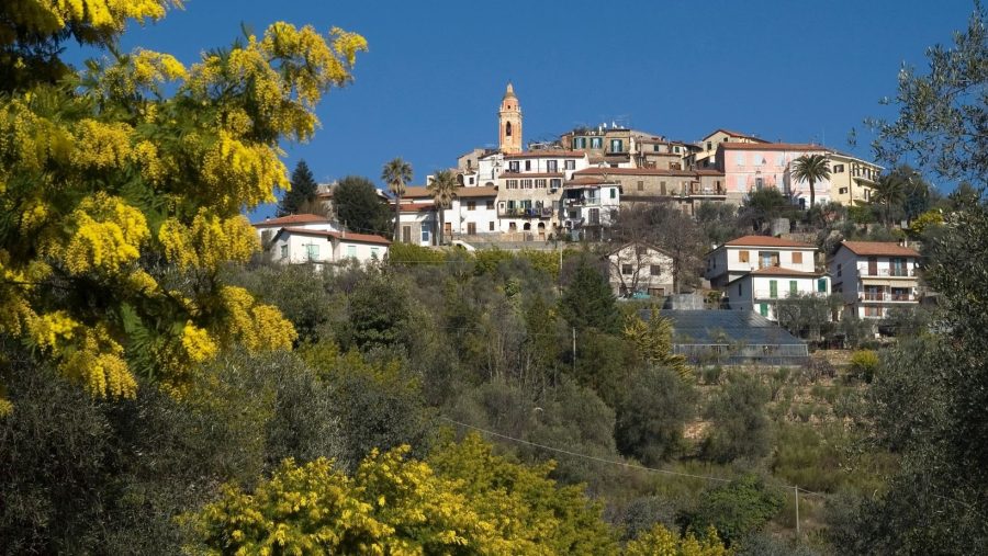 Seborga, il borgo-principato delle ginestre bianche